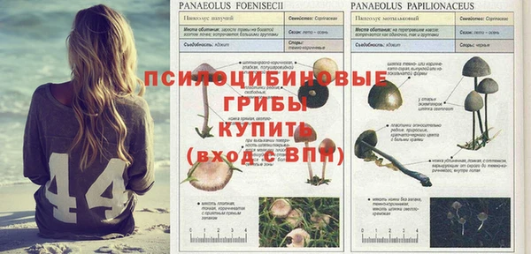 каннабис Баксан
