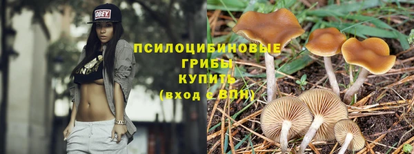 каннабис Баксан