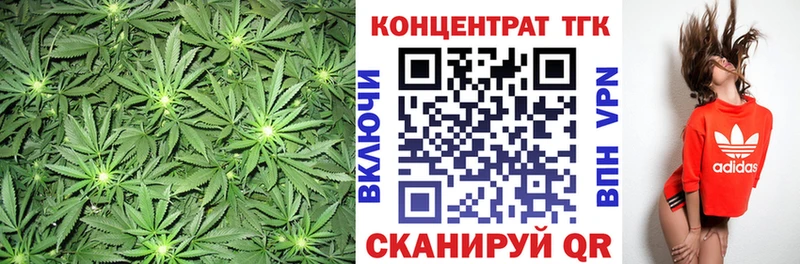 дарнет шоп  Морозовск  Дистиллят ТГК THC oil 